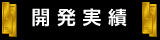 開発実績